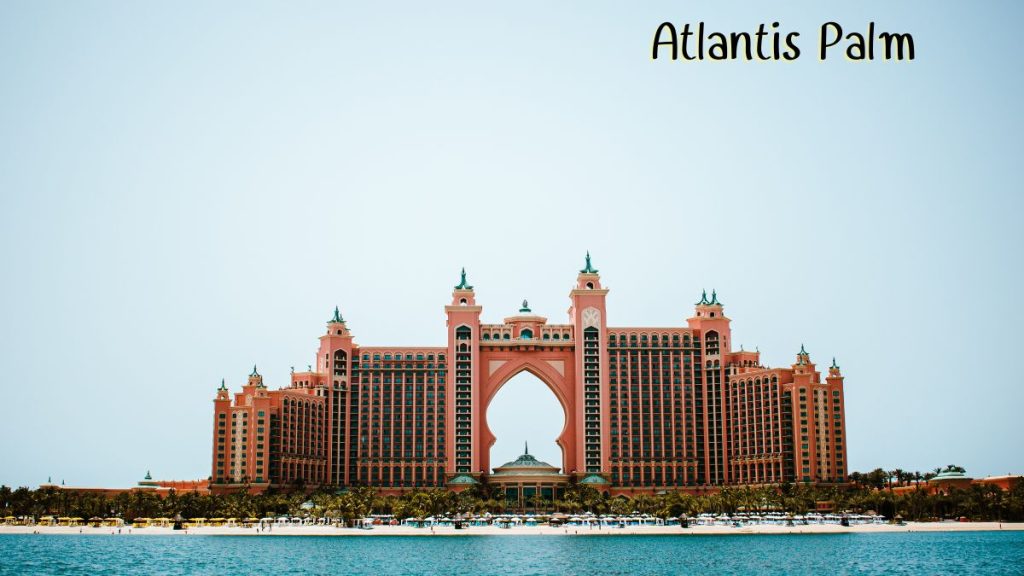Atlantis Palm