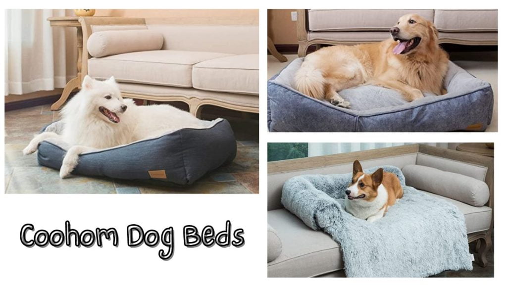 Coohom Dog Beds