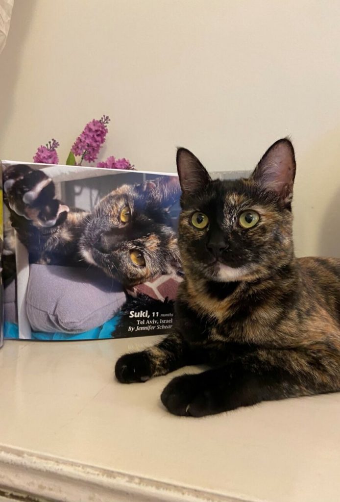 Worldwide Cat Photobook